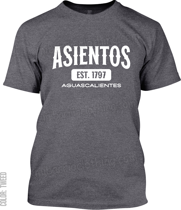 Asientos, Aguascalientes Signature T-Shirt