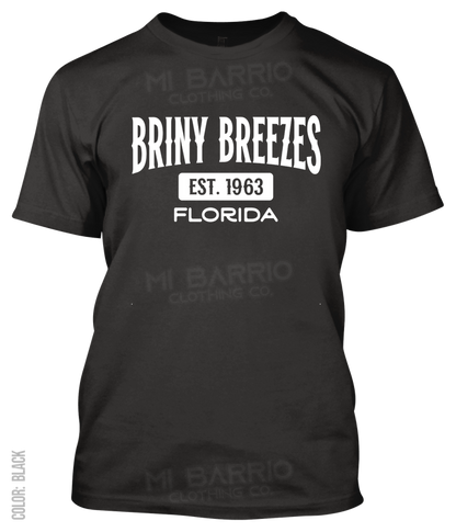 Briny Breezes, Florida Athletic T-Shirt