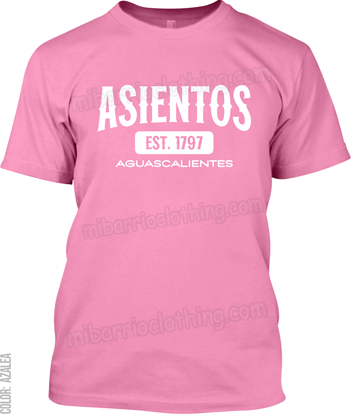 Asientos, Aguascalientes Signature T-Shirt