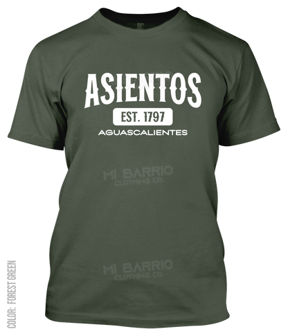 Asientos, Aguascalientes Athletic T-Shirt