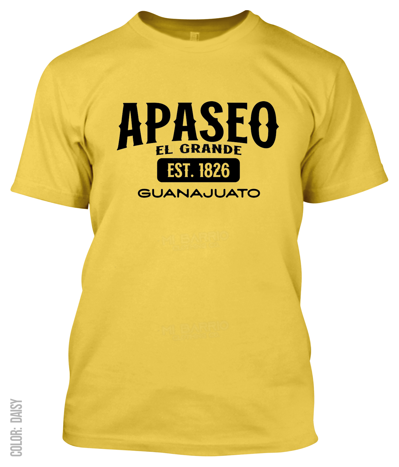 Apaseo El Grande, Guanajuato Athletic T-Shirt