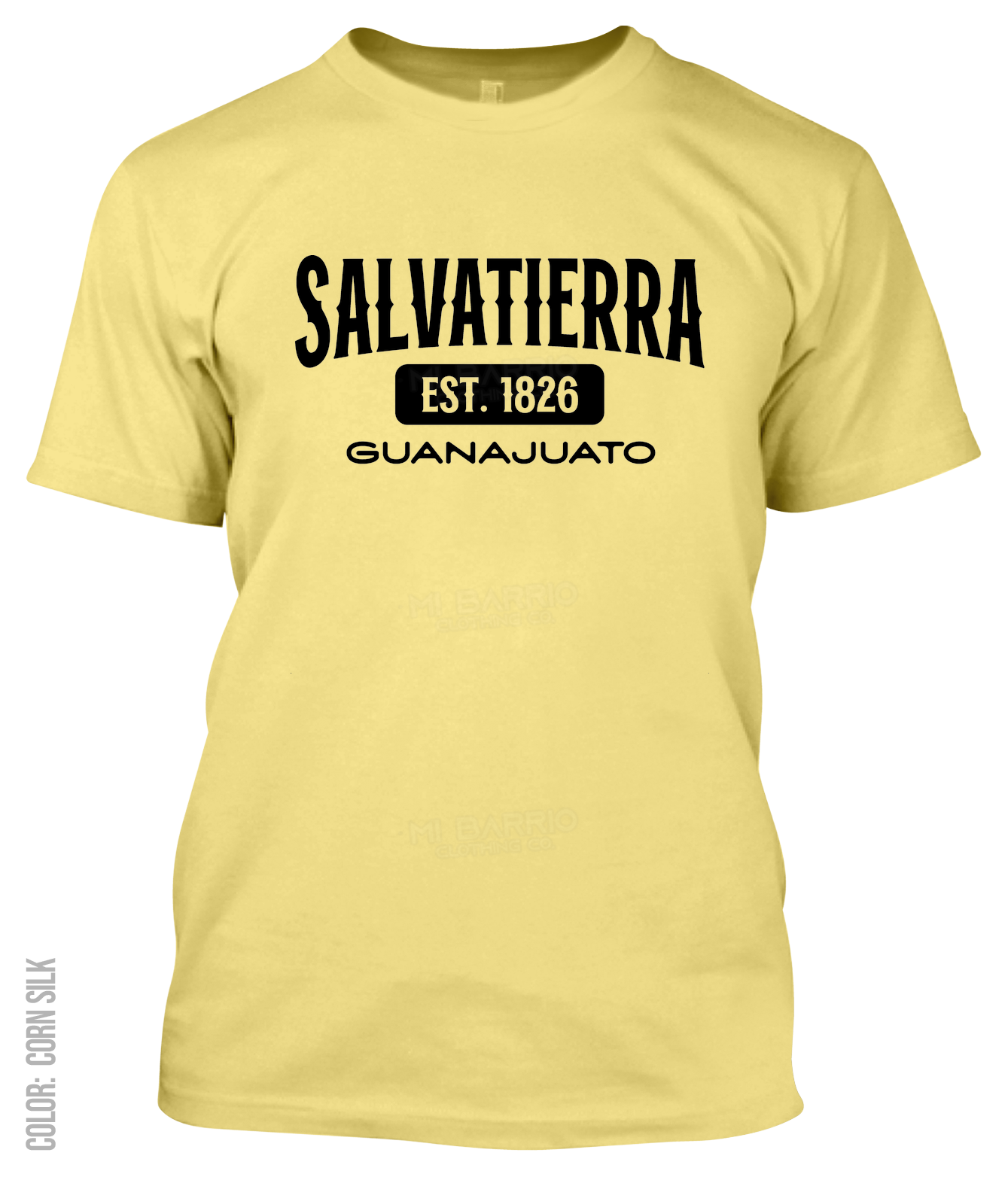 Salvatierra, Guanajuato Athletic T-Shirt