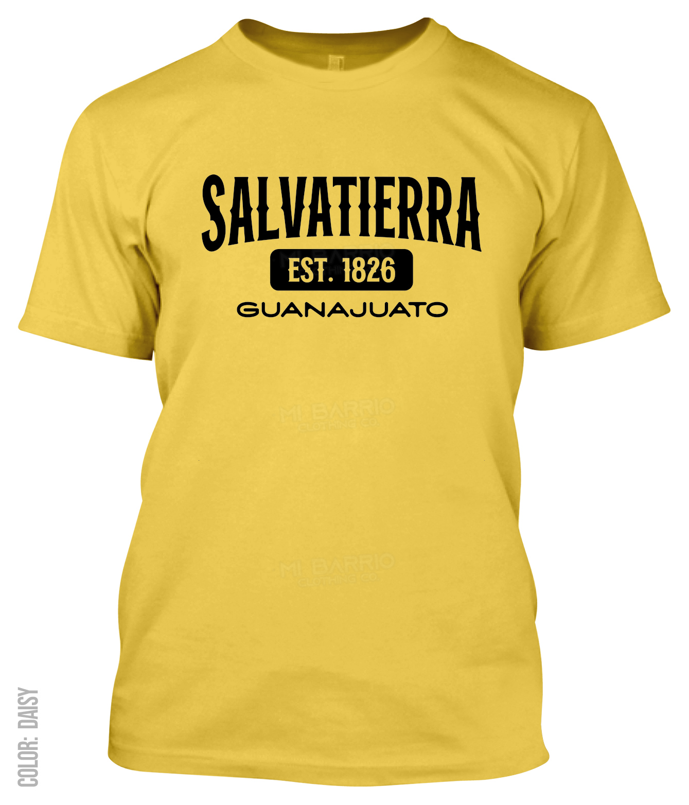 Salvatierra, Guanajuato Athletic T-Shirt