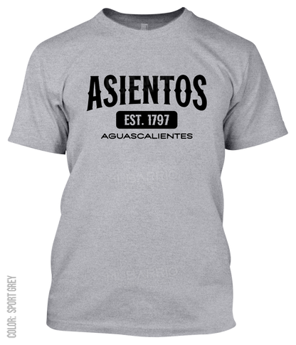 Asientos, Aguascalientes Athletic T-Shirt