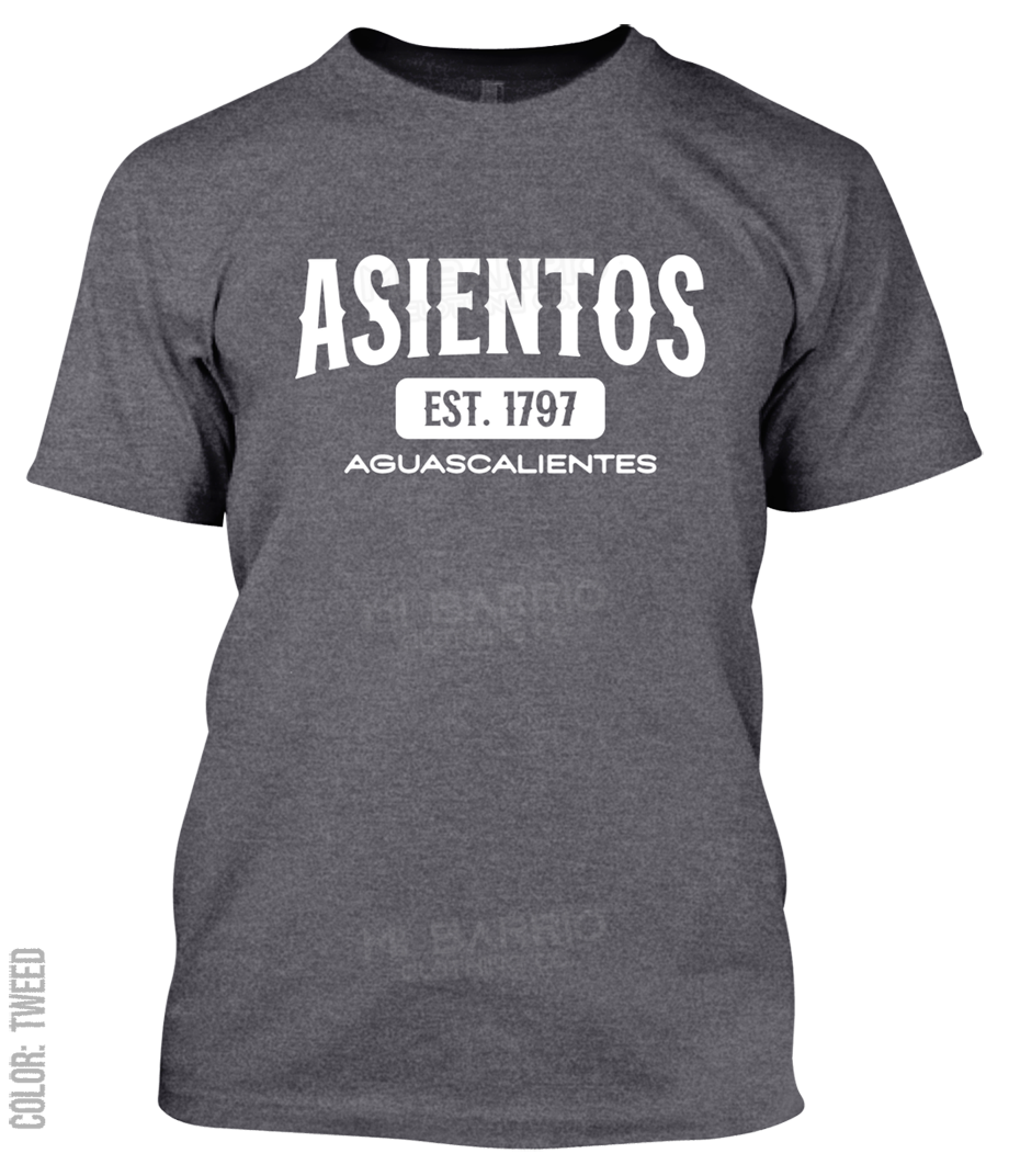 Asientos, Aguascalientes Athletic T-Shirt