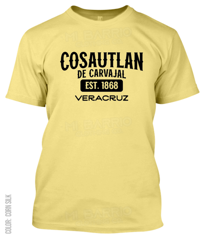 Cosautlan De Carvajal, Veracruz Athletic T-Shirt